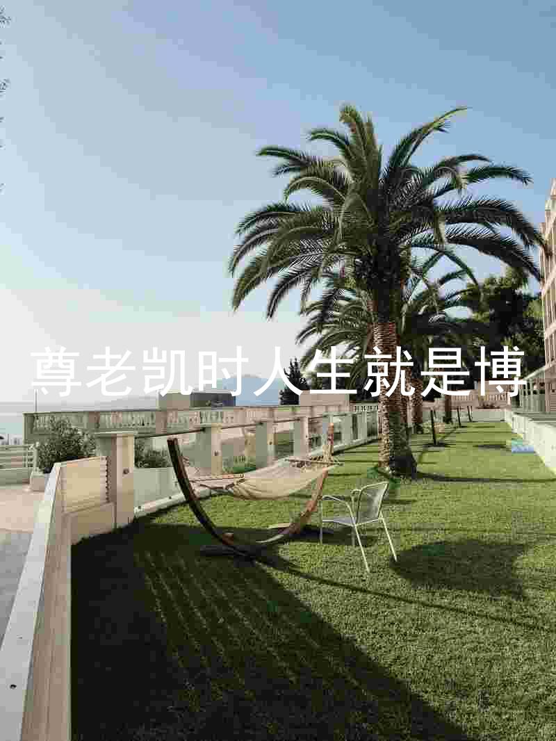 尊老凯时人生就是博