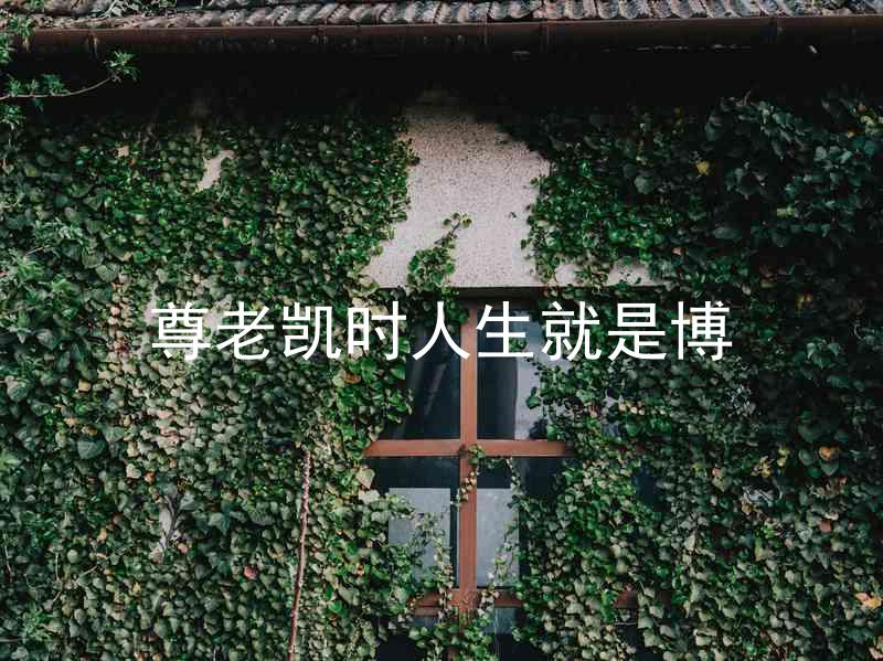 尊老凯时人生就是博